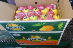 thumbs_IMG-20211107-WA0040