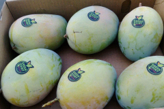 thumbs_IMG-20211107-WA0041