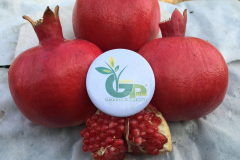 thumbs_IMG-20211107-WA0045