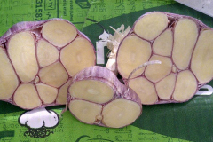 thumbs_IMG-20211107-WA0048