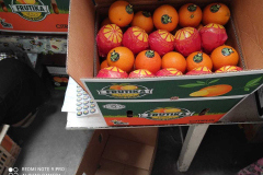 thumbs_IMG-20211107-WA0049