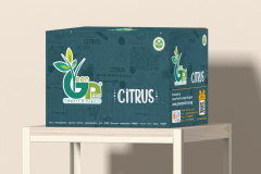 thumbs_IMG-20211107-WA0050