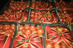 thumbs_IMG-20211107-WA0054