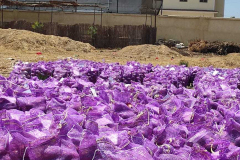 thumbs_IMG-20211107-WA0058