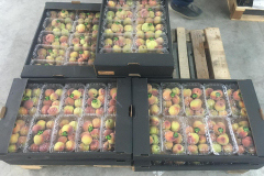 thumbs_IMG-20211107-WA0061