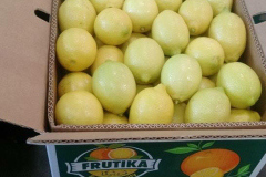 thumbs_IMG-20211107-WA0062