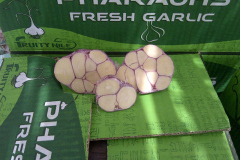 thumbs_IMG-20211107-WA0069