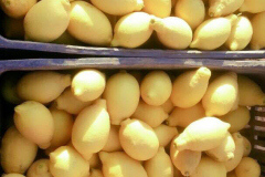 thumbs_IMG-20211107-WA0070