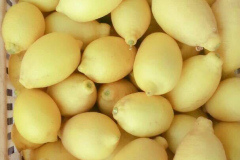 thumbs_IMG-20211107-WA0071