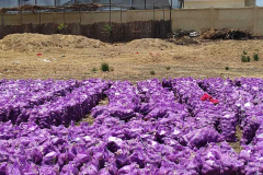 thumbs_IMG-20211107-WA0072