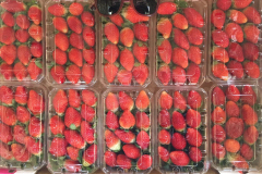 thumbs_IMG-20211107-WA0075