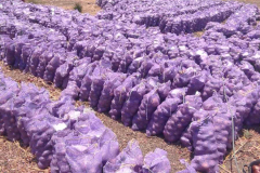 thumbs_IMG-20211107-WA0077