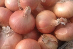 thumbs_IMG-20211107-WA0078