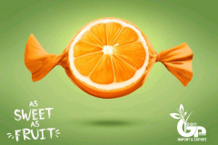 thumbs_IMG-20211107-WA0079