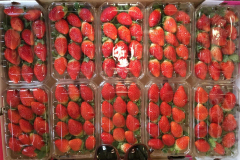 thumbs_IMG-20211107-WA0083