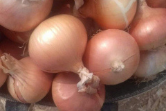 thumbs_IMG-20211107-WA0084