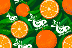 thumbs_IMG-20211107-WA0085