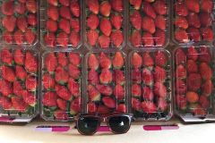 thumbs_IMG-20211107-WA0086