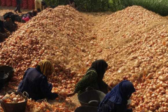 thumbs_IMG-20211107-WA0087