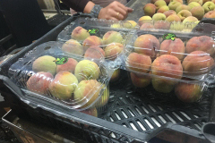 thumbs_IMG-20211107-WA0092