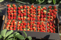 thumbs_IMG-20211107-WA0093