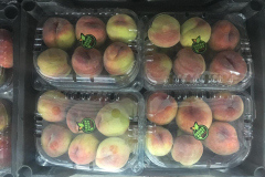 thumbs_IMG-20211107-WA0094