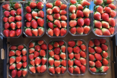 thumbs_IMG-20211107-WA0095