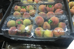 thumbs_IMG-20211107-WA0097