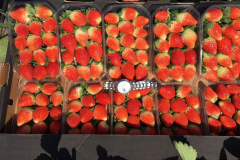 thumbs_IMG-20211107-WA0099