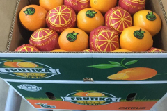 thumbs_IMG-20211107-WA0104