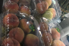 thumbs_IMG-20211107-WA0105