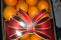 thumbs_IMG-20211107-WA0107