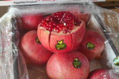 thumbs_IMG-20211107-WA0108