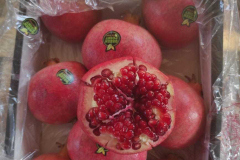 thumbs_IMG-20211107-WA0109