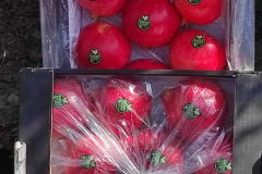 thumbs_IMG-20211107-WA0110