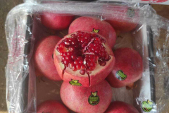 thumbs_IMG-20211107-WA0111