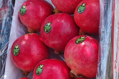 thumbs_IMG-20211107-WA0114