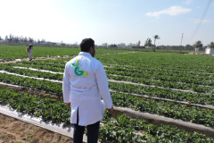 thumbs_IMG-20211107-WA0115