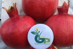 thumbs_IMG-20211107-WA0117