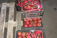 thumbs_IMG-20211107-WA0123