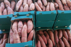 thumbs_IMG-20211107-WA0125