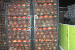 thumbs_IMG-20211107-WA0126