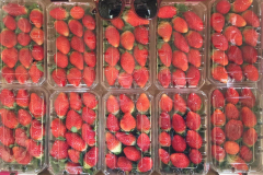 thumbs_IMG-20211107-WA0128