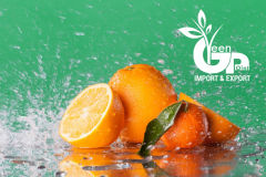 thumbs_IMG-20211107-WA0130