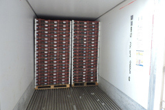 thumbs_IMG-20211107-WA0134