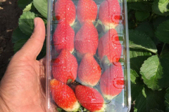 thumbs_IMG-20211107-WA0135