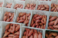 thumbs_IMG-20211107-WA0136