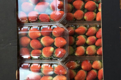 thumbs_IMG-20211107-WA0137