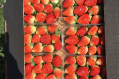 thumbs_IMG-20211107-WA0139