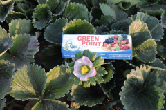 thumbs_IMG-20211107-WA0140